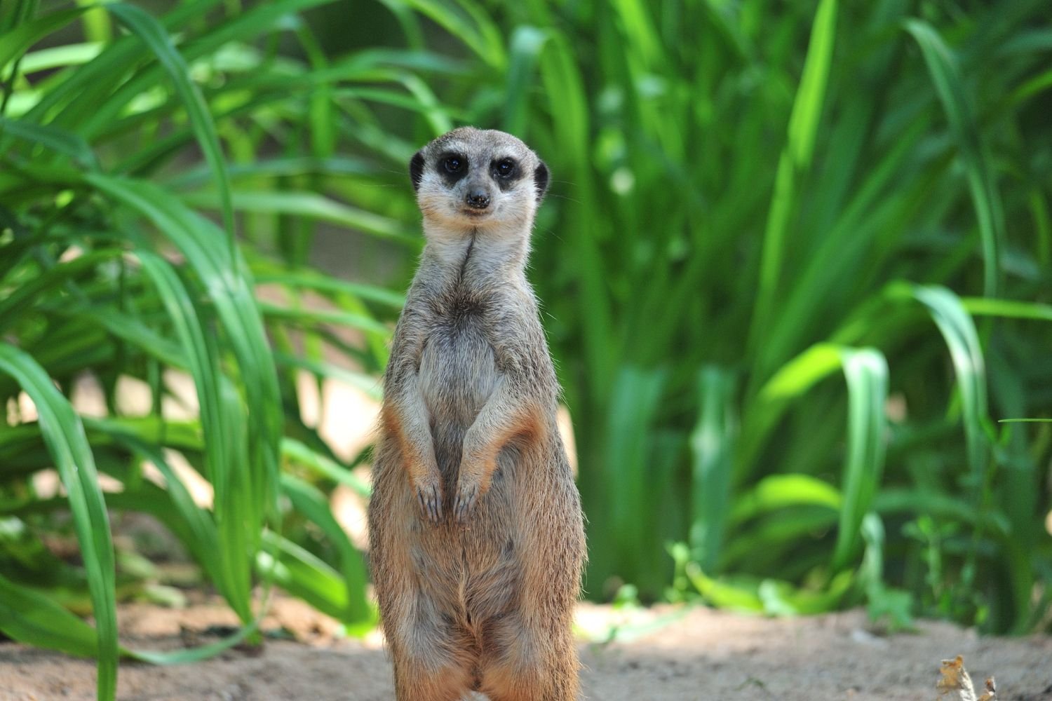 48 hours in nuremberg with kids_zoo_blog_picture 2