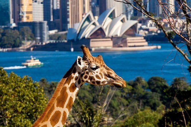 hotel sydney gallery4
