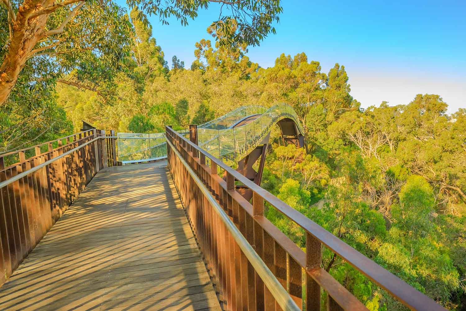kings park perth