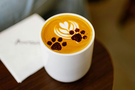 tommao wang bfx9z1lf6tm unsplash