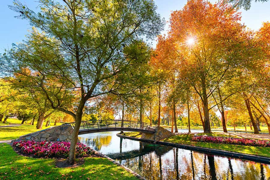 adelaide botanic garden