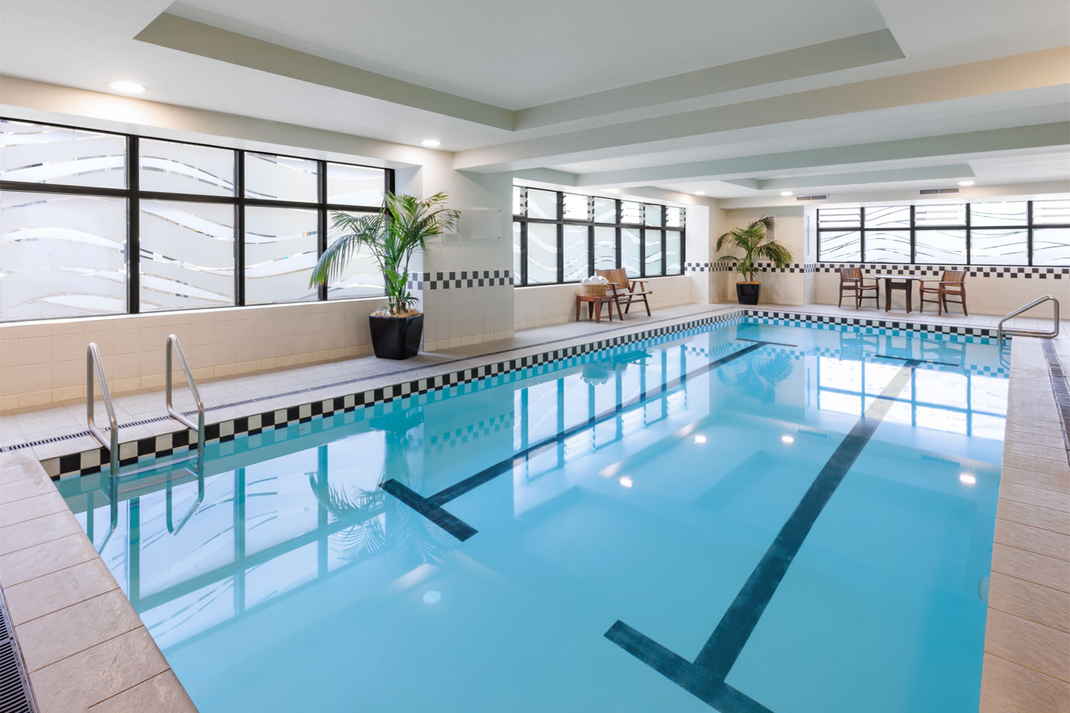 557219 citylife auckland pool