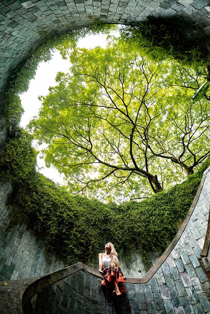 singapire gallery 2