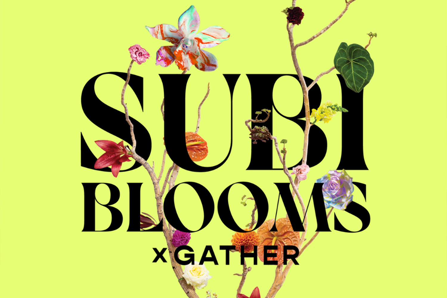 subi bloom