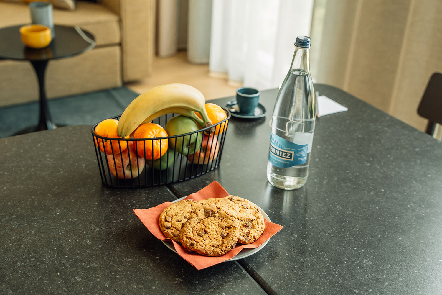 adina geneva_meeting5_04 2024